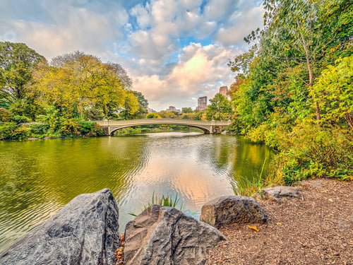 Preview: The Bow Bridge Is A Cast Iron Bridge Located In Central Park, New York City, Crossing Over The Lake