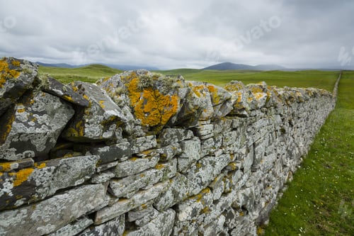 Preview: View Towards A Dry Stone Wall In Green Grass In The North West Of Scotland Near Durness And Fanaid