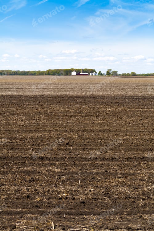 Preview: Farmland Landscape with Ploughed Field under Blue Sky