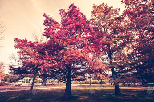 Preview: Autumn
