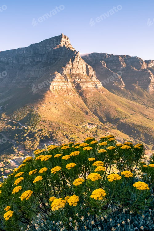 Preview: Portrait Photo Of A Rocky Mountain With Steep Cliffs On A Sunny Afternoon With Yellow Flowers In