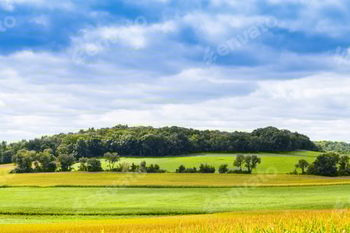 Preview: American Countryside Corn Field With Stormy Sky