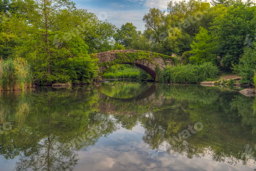 Preview: Gapstow Bridge In Central Park In Summer Early In Morning