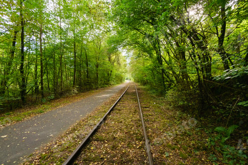 Preview: Empty Train Tracks Leading Off Into Distance Through Lush Green Forest, Belgium. Belgium Europe