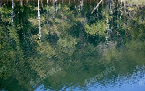 Preview: Quiet Lake Reflecting Trees For A Background