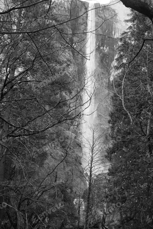 Preview: Bridalveil Falls In Black And White