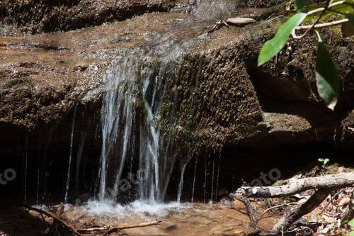 Preview: Small Waterfall With Green Leaves