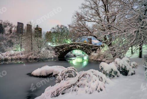 Preview: Central Park In Winter At The Gapstow Bridge