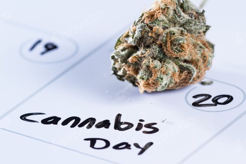 Preview: Close Up Image For A Concept Using A Calendar, A Cannabis Bud And A Black Marker To Write The Words