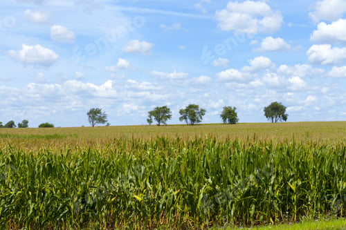 Preview: American Countryside