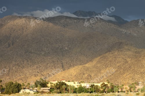Preview: A Landscape View Of Palm Trees And Desert Scrub In Front Of The Mountains. 3835