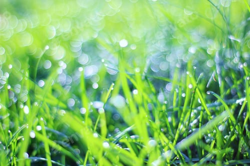 Preview: Grass And Water Background - Abstract Creations And Colors In Nature - Blue Haze Of Vibrant Health