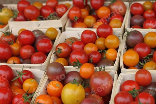 Preview: A Market Display Of Fresh Tomatoes. 2995