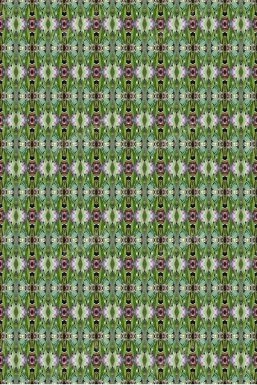 Preview: An Abstract Of Fresh Green Plumeria Rubra Leaves 0053