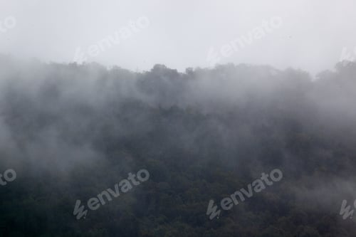Preview: Morning Mist In The Mountains