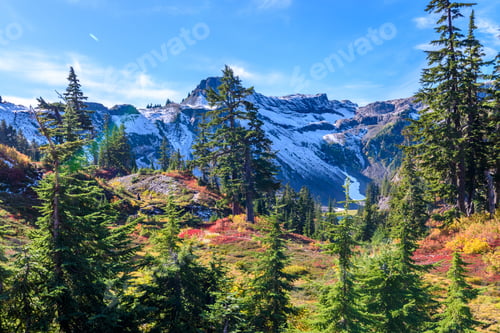 Preview: Rocky Mountains