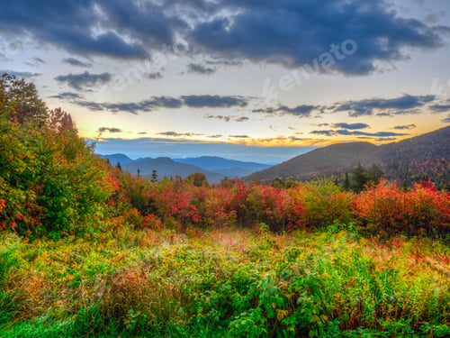 Preview: Landscape On The Highway