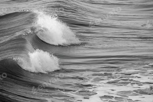 Preview: Ocean Waves In Black And White