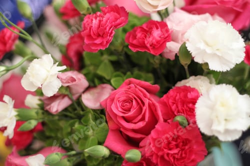 Preview: A Bouquet Of Red White And Pink Roses 1464