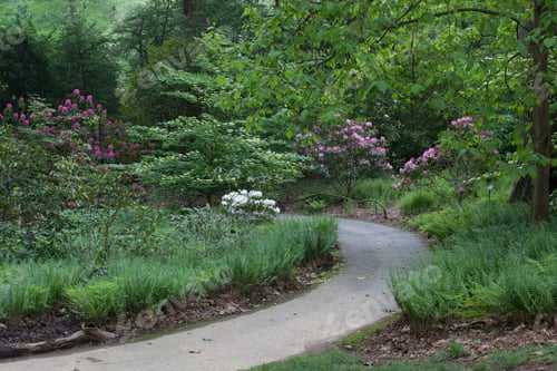 Preview: Pathway Through The Flowers Outdoors