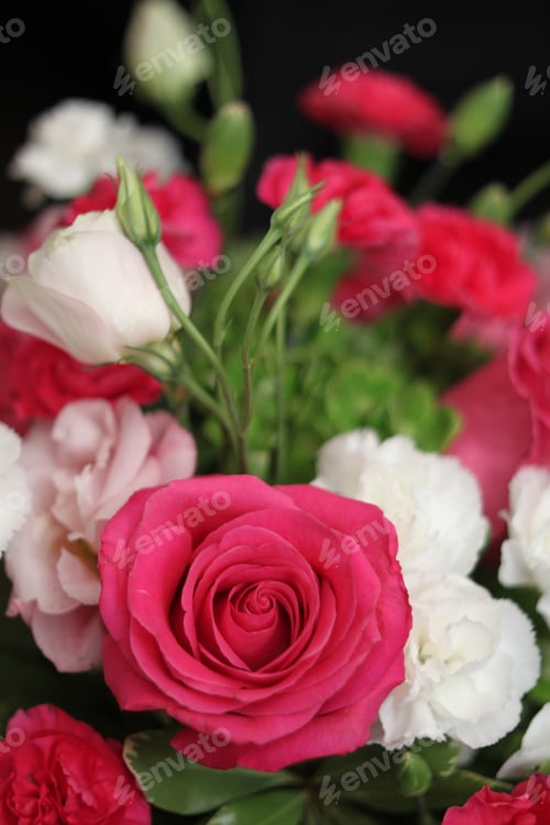 Preview: A Bouquet Of Red White And Pink Roses 1568