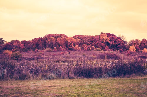 Preview: Autumn