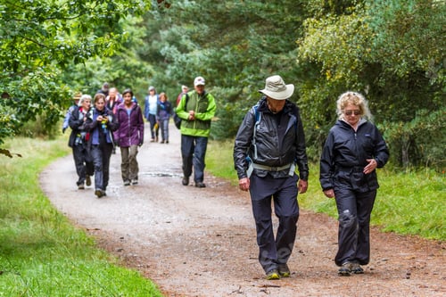 Preview: Scotland - September 09 2019: Group Of Walkers Exploring The Scottish Highlands In The Cairngorm