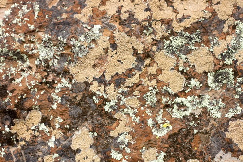 Preview: Rock Texture.