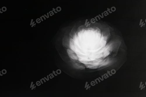Preview: X-Ray Of A Flower