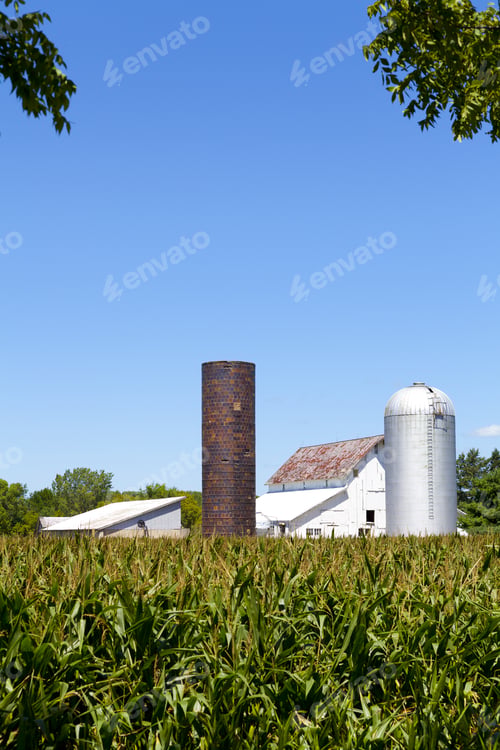 Preview: Farm