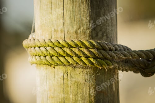 Preview: Ship Ropes On Wood Background Texture