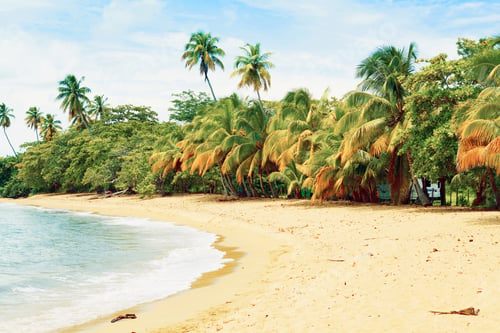 Preview: Tropical Island