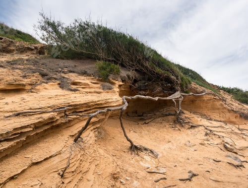 Preview: Makawehi Bluff Near Poipu On South Coast Of Kauai In Hawaii