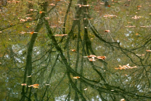 Preview: Autumn Colors Reflected In A Quiet Pond