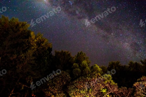 Preview: Starry Night Out Of Town
