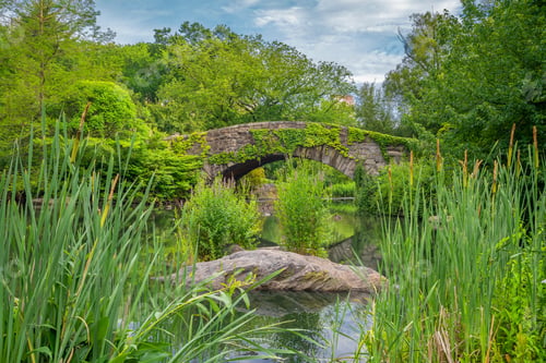 Preview: Gapstow Bridge In Central Park
