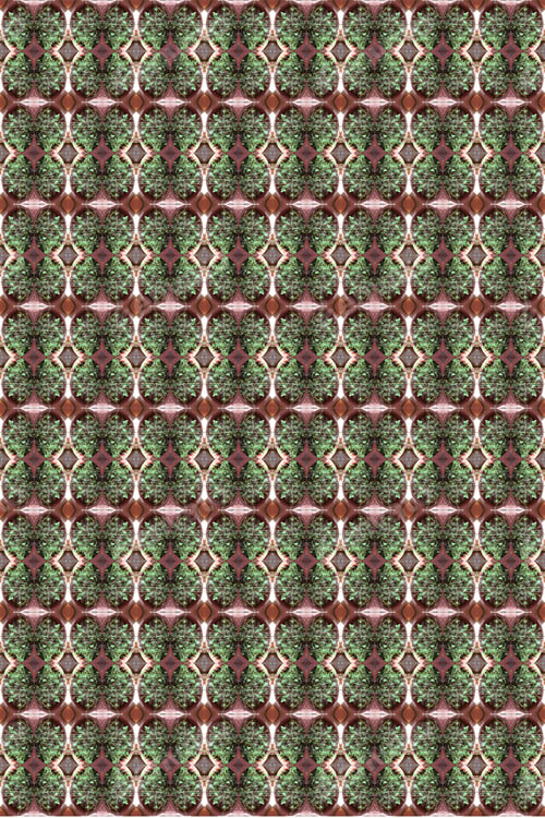 Preview: A Sweet Mint Bush Abstract With Leaves Damaged By Summer Heat And Garden Pests 0449