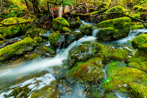 Preview: Hidden Natural Gem Mry Vine Creek -Fresh And Natural Mary Vine Creek Long Exposure View 3, Sooke