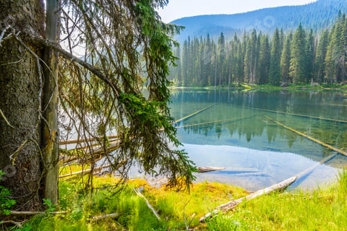 Preview: Majestic Mountain Lake In Canada. Lightning Lake In Manning Park In British Columbia. Lake Trail