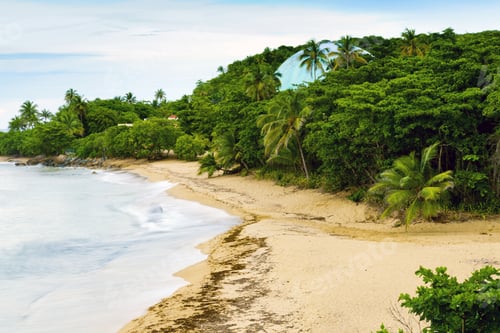 Preview: Tropical Island On Sunset