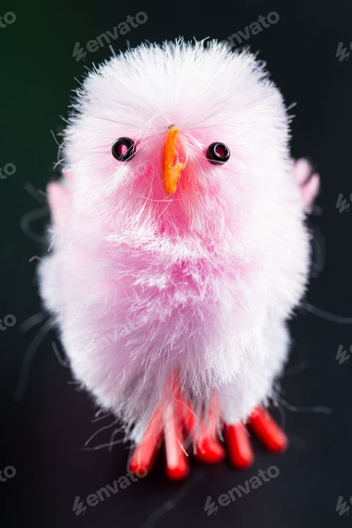 Preview: Close Up Of A Small Fuzzy Pink Chick Over A Black Background