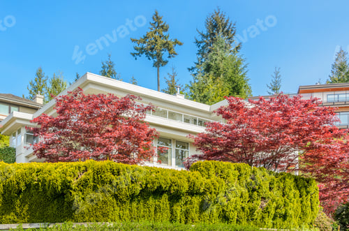 Preview: The Top Of The House With Nice Window.