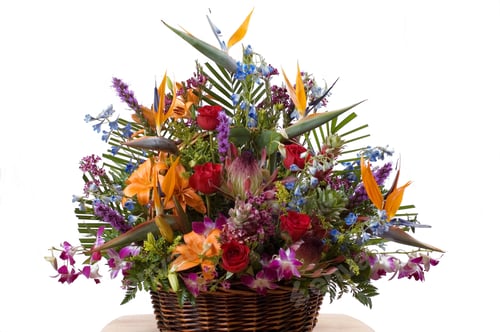 Preview: Arrangment Of Exotic Flowers