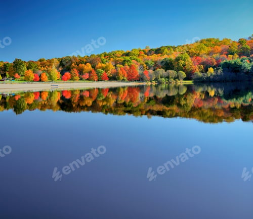 Vorschau: Wunderschöner ruhiger See im Herbst, der Bäume reflektiert