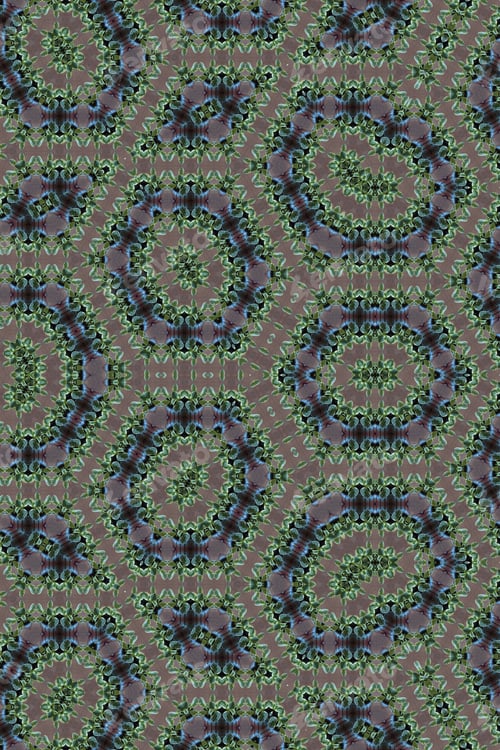 Preview: An Abstract Of A Peperomia Scandens Plant With Green And Creamy Heart Shaped Leaves 2599