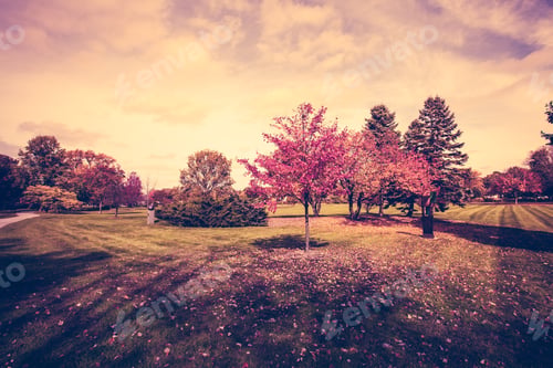 Preview: Autumn