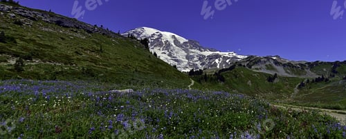 Preview: Panorama View Of Top Of The Mountain, Mt Rainier National Park 2