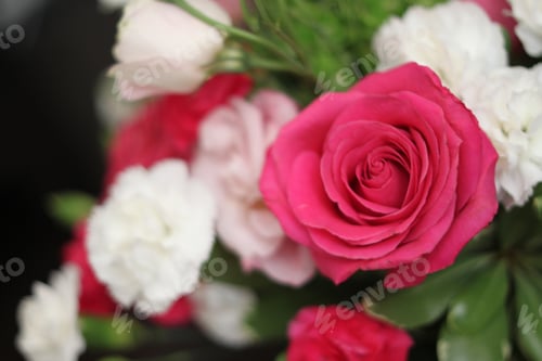 Preview: A Bouquet Of Red White And Pink Roses 1522