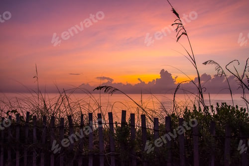 Preview: A Golden Pink Sunrise Over The Atlantic Ocean From A Florida Beach With A Wind Fence And Sea Oats