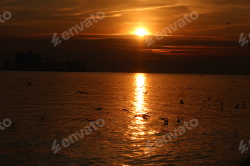 Preview: Sunset In Lisbon